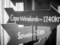 YPO African Welcome Party 37